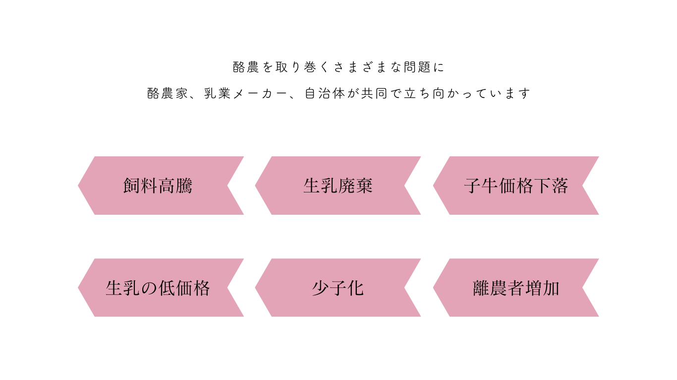 酪農を取り巻くさまざまな問題に
酪農家、乳業メーカー、自治体が共同で立ち向かっています